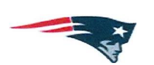 Patriot Mascot Image
